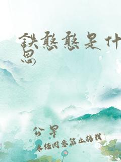 铁憨憨是什么意思