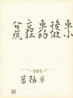 公交车后车座的疯狂的做小