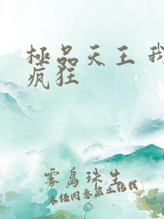极品天王 我本疯狂
