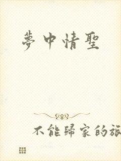 梦中情圣