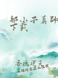 那小子真帅小说下载