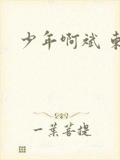 少年啊斌 东房