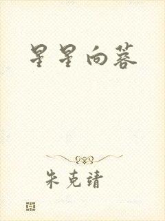 星星向蓉