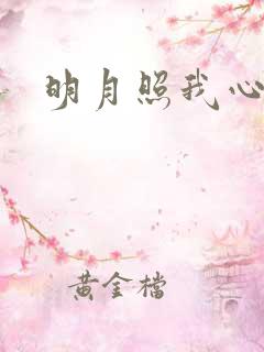 明月照我心小说