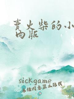 卖火柴的小男孩 肉版