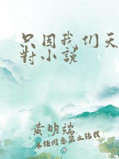 只因我们天生一对小说