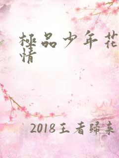 极品少年花都燃情
