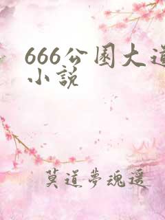 666公园大道小说