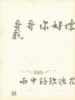 哥哥你好坏小游戏