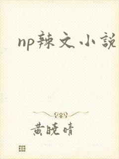 np辣文小说