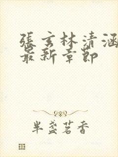 张玄林清涵全文最新章节