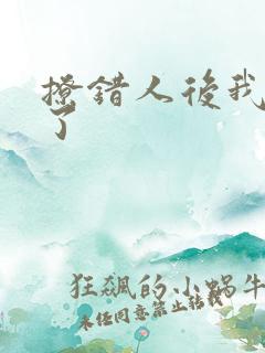 撩错人后我跑路了