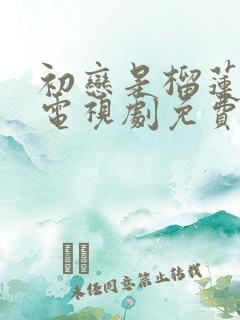 初恋是榴莲先生电视剧免费观看