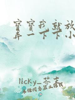 宝宝我就放进去弄一下下小说