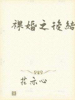 裸婚之后结局