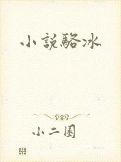 小说骆冰