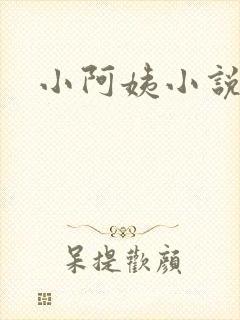 小阿姨小说