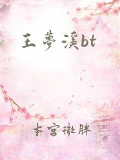 王梦溪bt