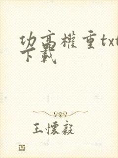 功高权重txt下载