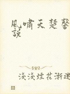 风啸天楚馨月小说
