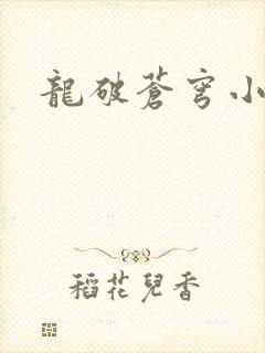 龙破苍穹小说