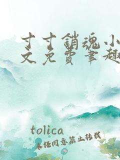 寸寸销魂小说全文免费笔趣阁