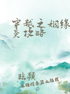 穿越之姻缘劫萧炎攻略