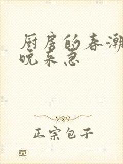 厨房的春潮带雨晚来急