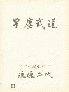 星尘武道