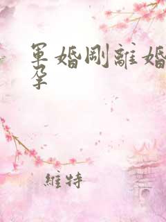 军婚刚离婚就怀孕