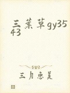 三叶草gy3543