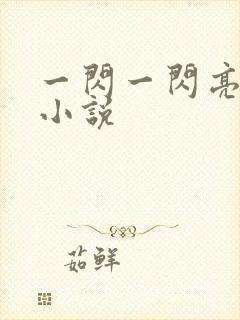 一闪一闪亮星星小说