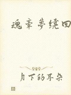 魂牵梦绕回大清