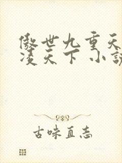 傲世九重天 风凌天下 小说