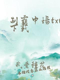 制霸中场txt下载