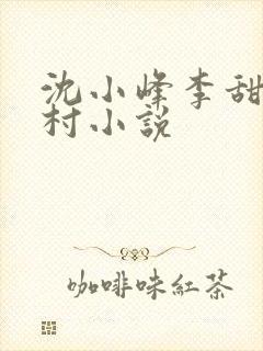 沈小峰李甜的乡村小说