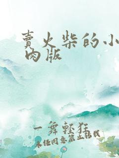 卖火柴的小男孩 肉版