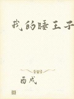 我的睡王子殿下