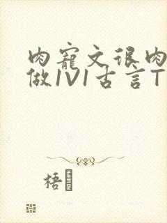 肉宠文很肉到处做1V1古言T