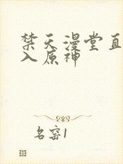 禁天漫堂直接进入原神