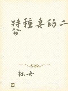 特种妻的二手老公