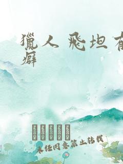 猎人 飞坦有洁癖