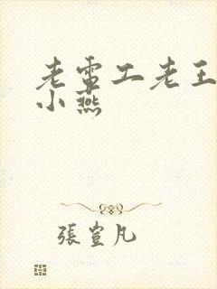 老电工老王和李小燕