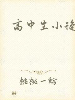 高中生小后妈