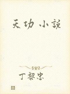 天功 小说