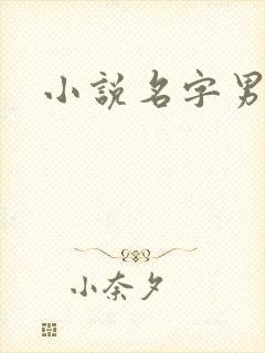 小说名字男生
