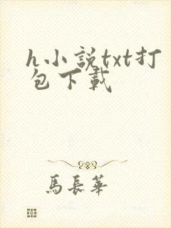 h小说txt打包下载