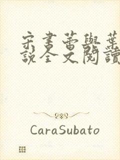 宋书蕾与叶临小说全文阅读