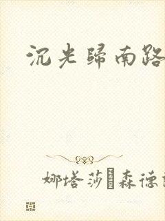 沉光归南路