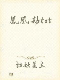 凤凰劫txt